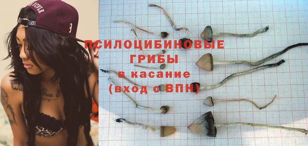 ALPHA-PVP Новодвинск