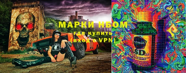 индика Вязники