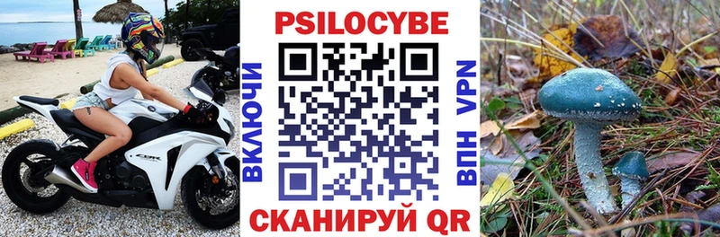 Галлюциногенные грибы Psilocybine cubensis  Кемь 